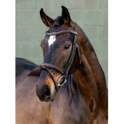 Bridon Arika Flash LeMieux Marron / argent