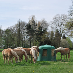 Râtelier hexagonal RPE grand modèle La Gée Râtelier hexagonal RPE grand modèle La Gée