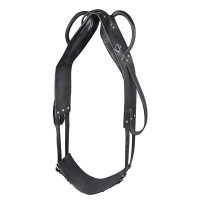 Surfaix Star voltige et longe Noir