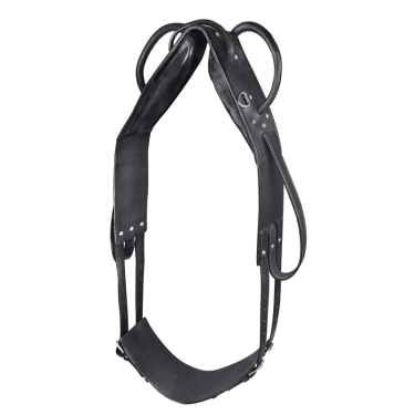 Surfaix d'équitation pour voltige et longe Surfaix d'équitation pour voltige et longe