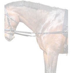 Rênes fixes équitation en nylon avec anneaux
