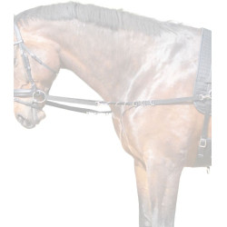 Rênes fixes équitation en nylon avec anneaux
