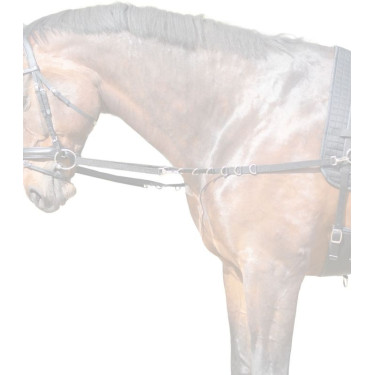 Rênes fixes équitation en nylon avec anneaux