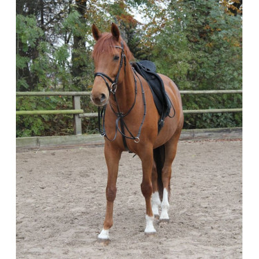 Martingale Star Noir