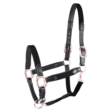 Licol d'équitation Star Mix en cuir et synthétique