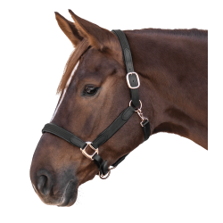 Licol d'équitation Star Mix en cuir et synthétique