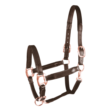 Licol d'équitation Star Mix en cuir et synthétique
