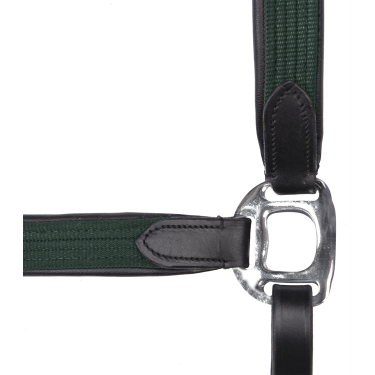 Licol Star Mix Vert sapin / argent