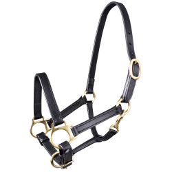 Licol en cuir Star poulain Noir