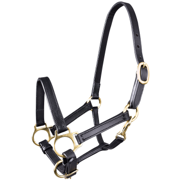 Licol en cuir Star poulain Noir