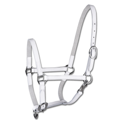 Licol de présentation cuir Star poulain Blanc