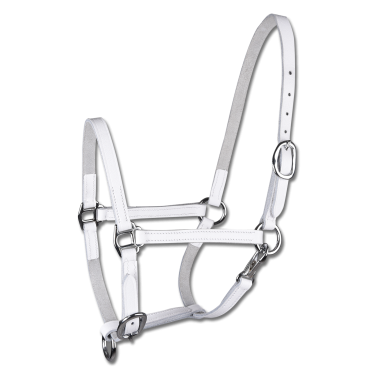 Licol de présentation cuir Star poulain Blanc