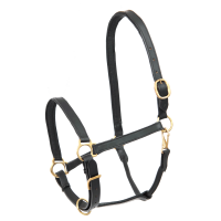Licol cuir Star Robust Noir Licol cuir Star Robust Noir