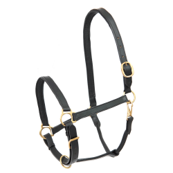 Licol d'équitation en cuir robuste Star