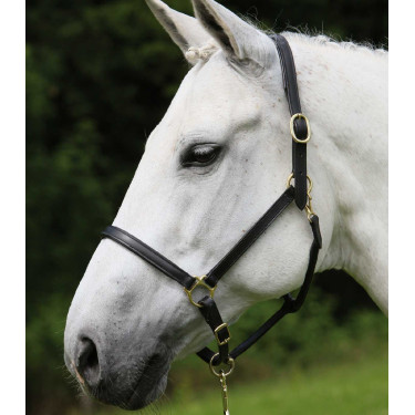 Licol d'équitation en cuir robuste Star