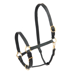 Licol d'équitation en cuir robuste Star