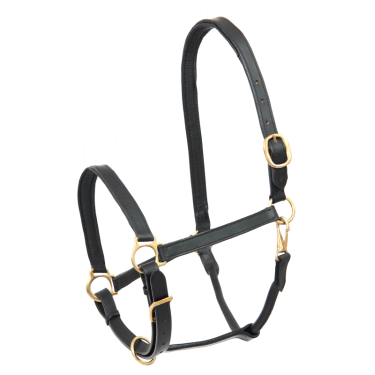 Licol d'équitation en cuir robuste Star
