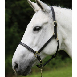 Licol d'équitation en cuir robuste Star