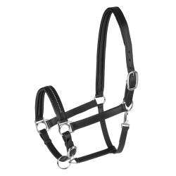 Licol cuir Star Diamond Noir / argent