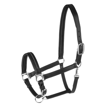 Licol cuir Star Diamond Noir / argent