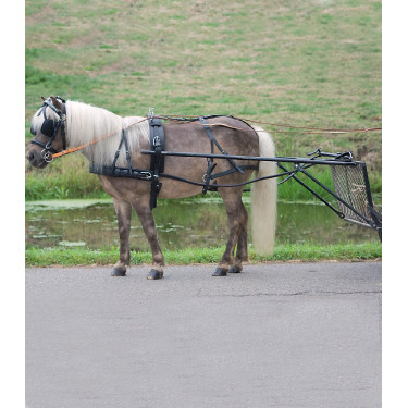 Harnais Star simple Economic poney shetland Noir