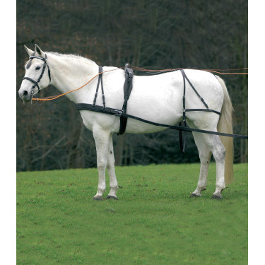 Harnais Star simple Economic de cob à grand cheval Noir