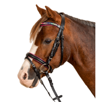 Bridon Star Pinky Noir Bridon Star Pinky Noir