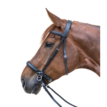 Bridon sans mors Star Noir