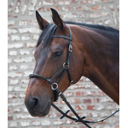 Bridon sans mors Linda tellington-jones Noir
