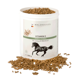 Vitamine E cheval – Forme et performance équine