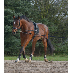 Système de longe équitation Waldhausen