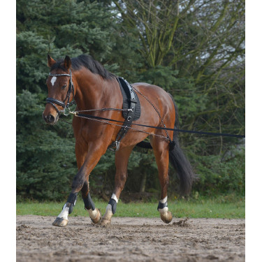 Système de longe équitation Waldhausen