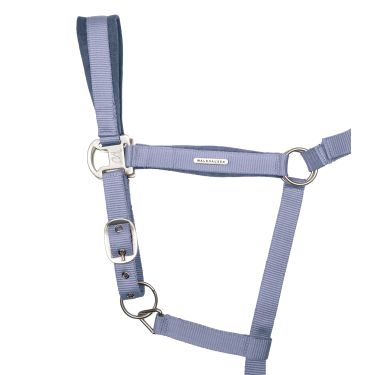 Licol et longe d’équitation Velvet Waldhausen | EQUI-CLIC Licol et longe d’équitation Velvet Waldhausen | EQUI-CLIC