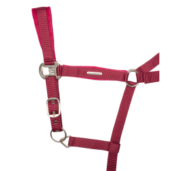 Licol et longe Waldhausen Velvet Grenade Rose