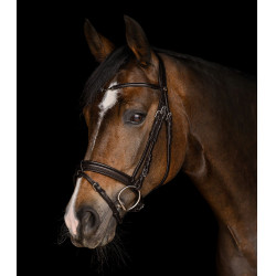 Bridon Waldhausen X-Line Charmbit Marron