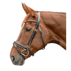 Bridon d’équitation Star or rose avec rênes 19 mm