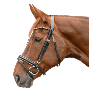 Bridon d’équitation Star or rose avec rênes 19 mm