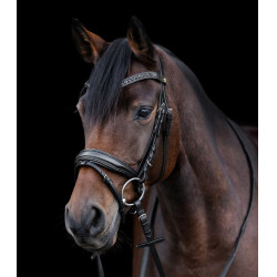 Bridon verni Waldhausen S-Line Blackshine muserolle combinée pull back Noir
