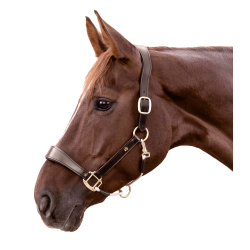 Licol en cuir Waldhausen S-Line Royal Marron