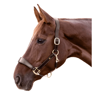 Licol en cuir Waldhausen S-Line Royal Marron