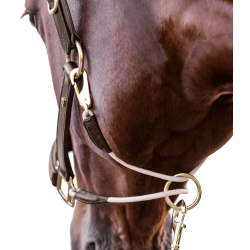 Licol en cuir Waldhausen S-Line Royal Marron