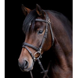 Bridon équitation X-Line avec muserolle combinée