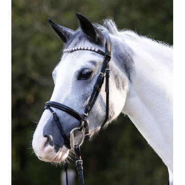 Bridon d’équitation Happy Hearts Waldhausen – cheval