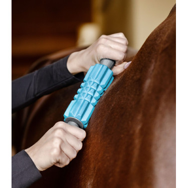 Rouleaux de massage équin Waldhausen
