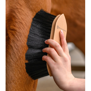Brosse à poussière équitation Waldhausen