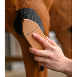 Brosse à poussière équitation Waldhausen