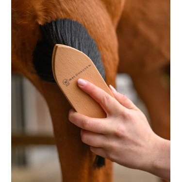 Brosse à poussière équitation Waldhausen