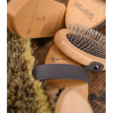 Brosse à poussière équitation Waldhausen