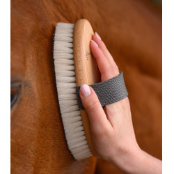 Brosse douce équitation poils de chèvre