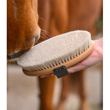 Brosse douce équitation poils de chèvre